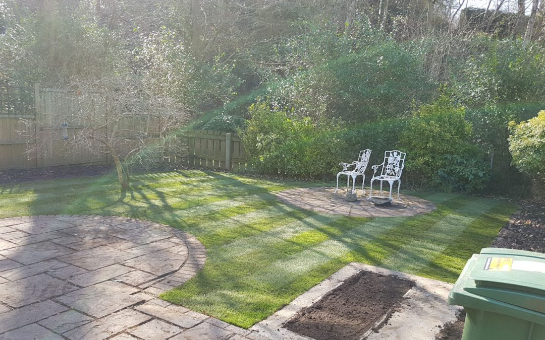 Gravelled Garden