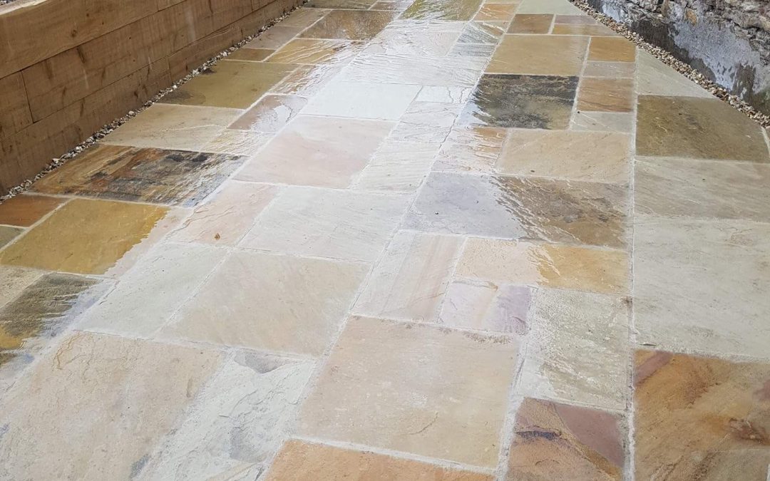Fossil Mint Sandstone