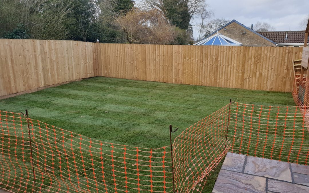 Turfing Services for 100 Metres in Westfield